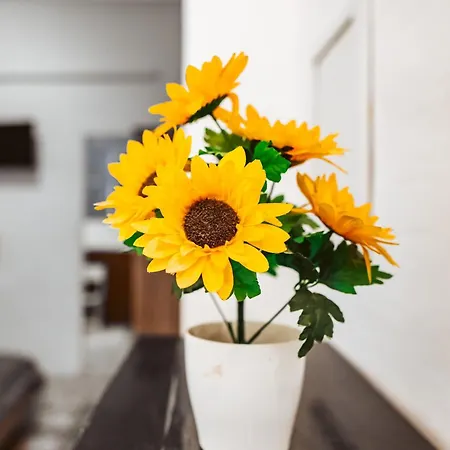 Bed & Breakfast Cetina