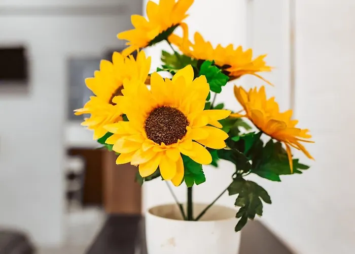 Bed and breakfast Cetina